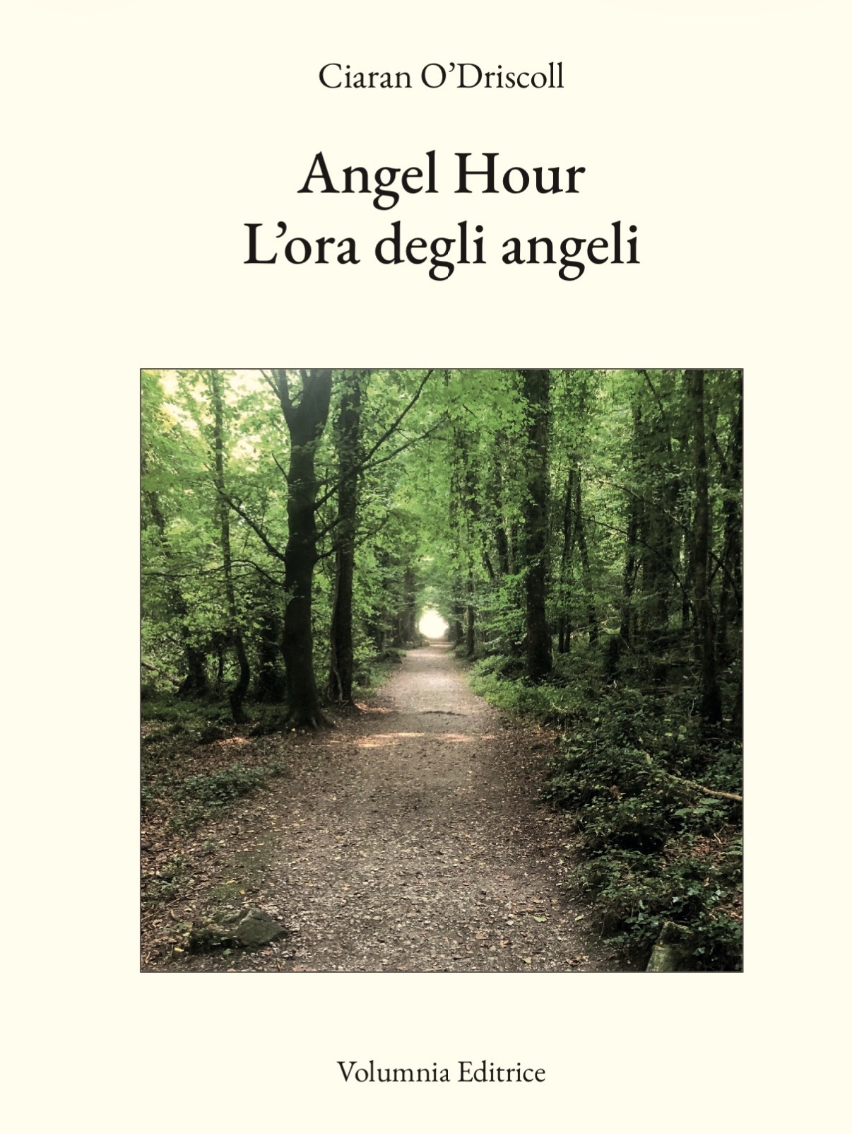 Volumnia editrice - libro